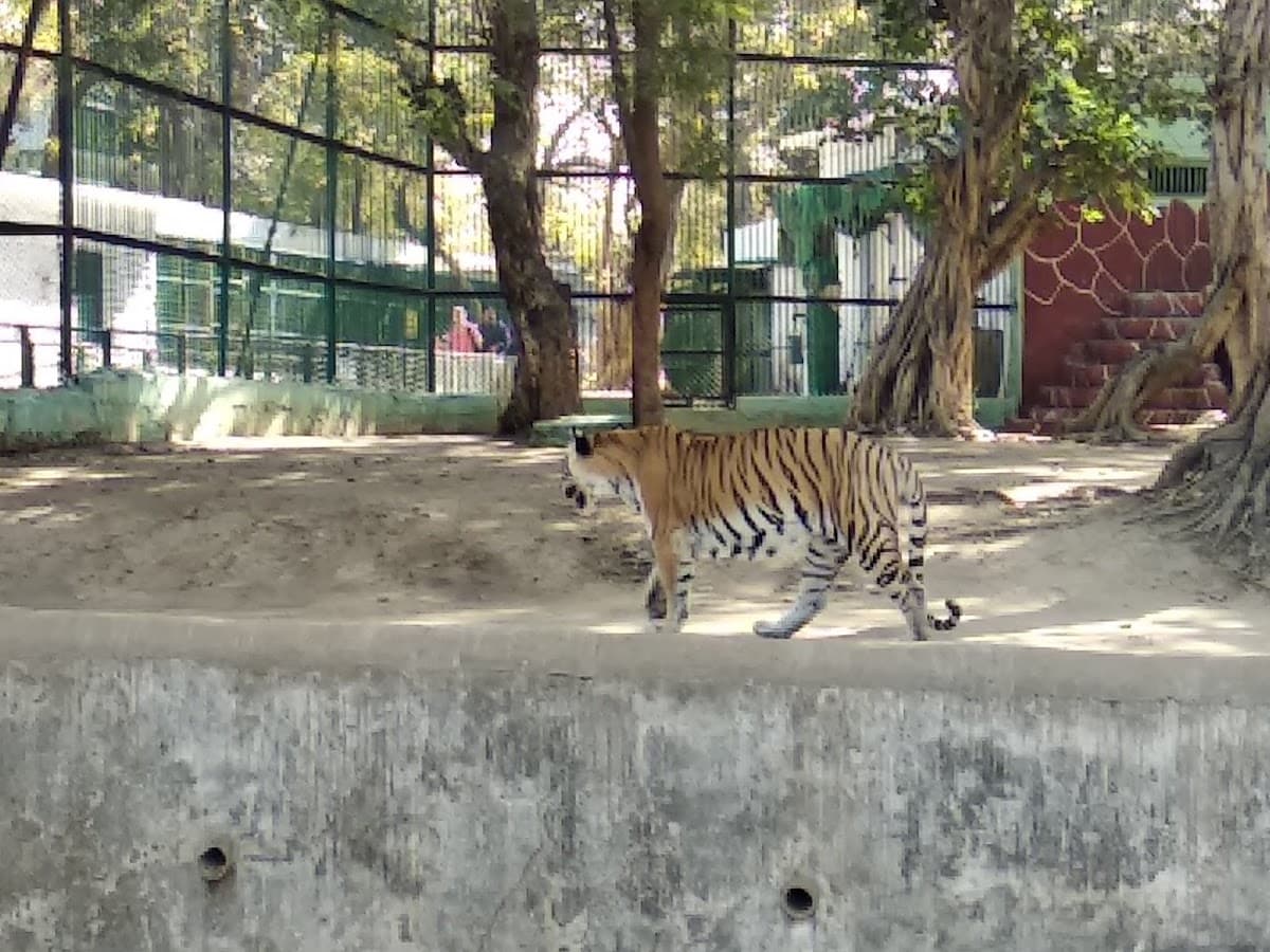 Kamla Nehru Zoological Garden thumbnail 2