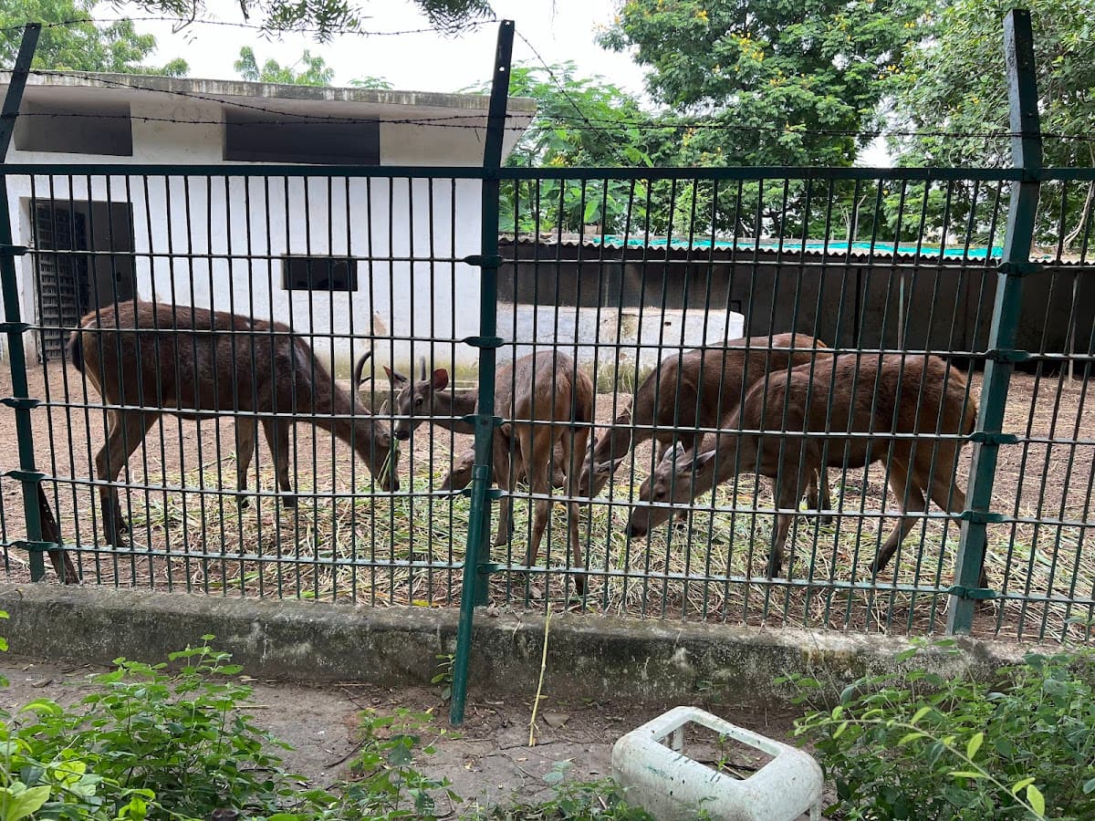 Kamla Nehru Zoological Garden thumbnail 3