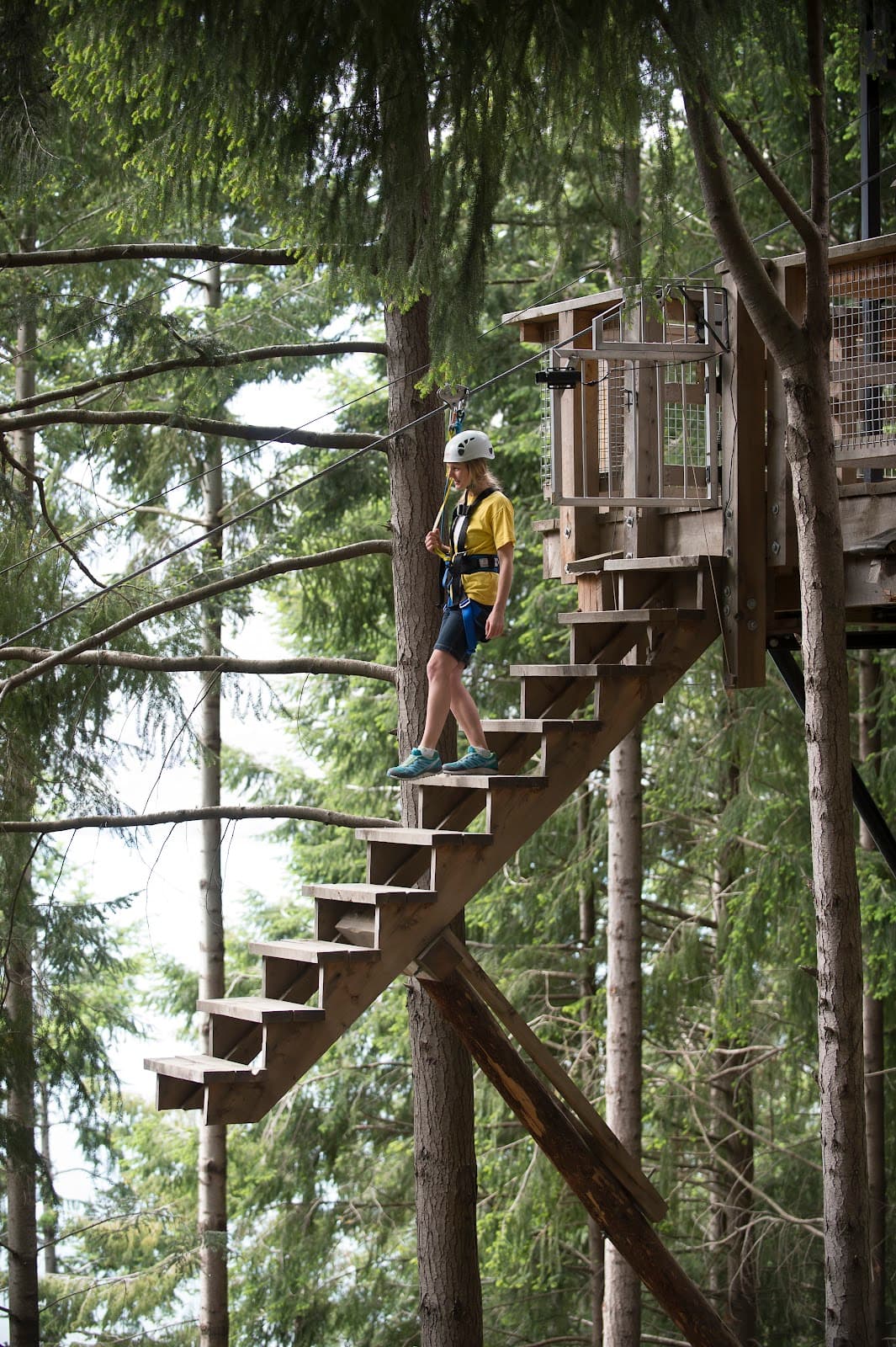 Ziptrek Ecotours thumbnail 2