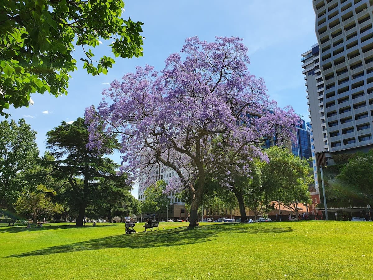 Flagstaff Gardens thumbnail 3