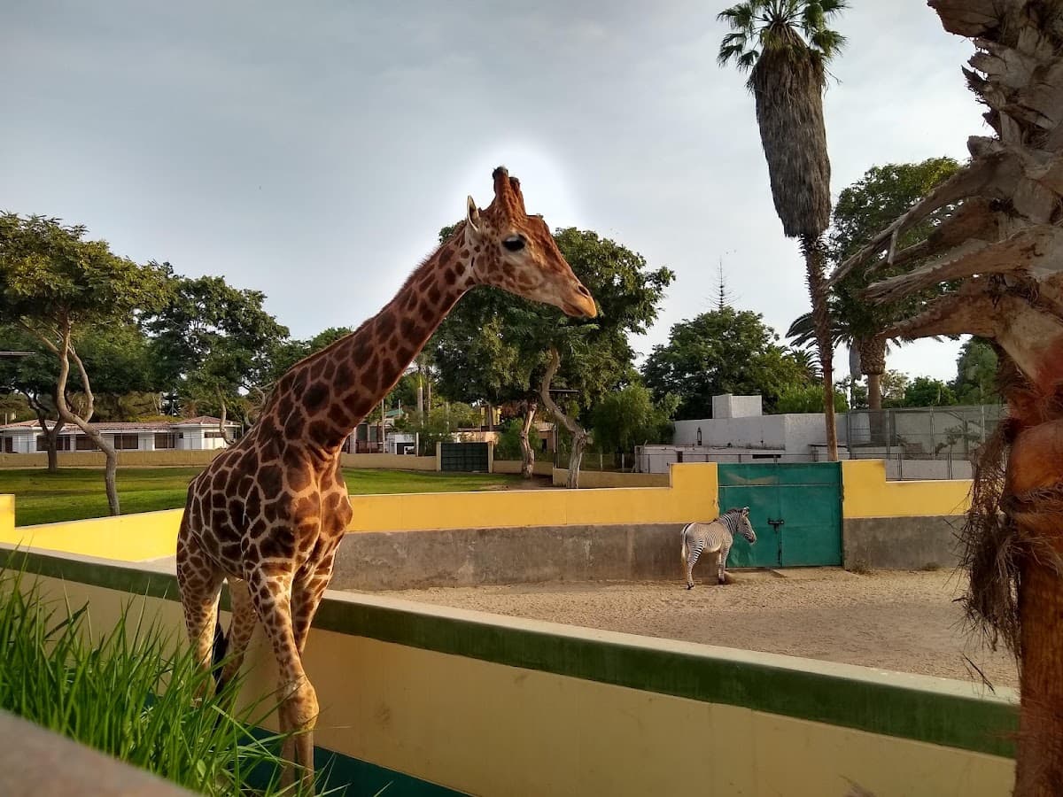 Park of the Legends Zoo thumbnail 2