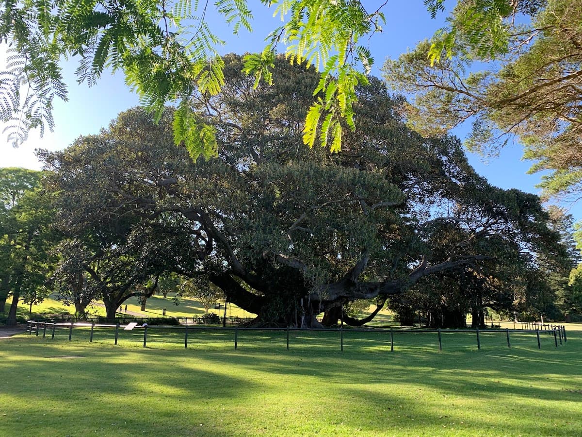 Royal Botanic Garden Sydney thumbnail 3