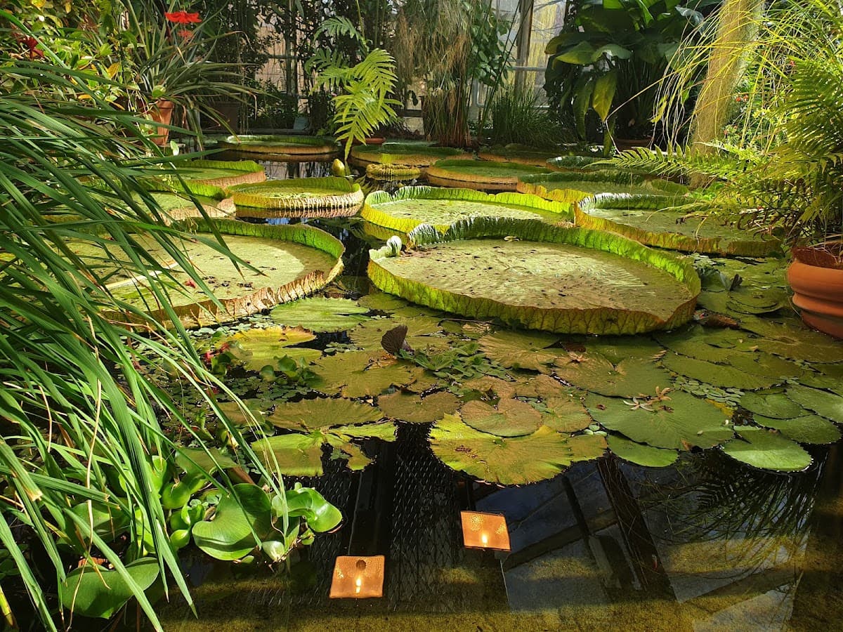 Botanical Garden