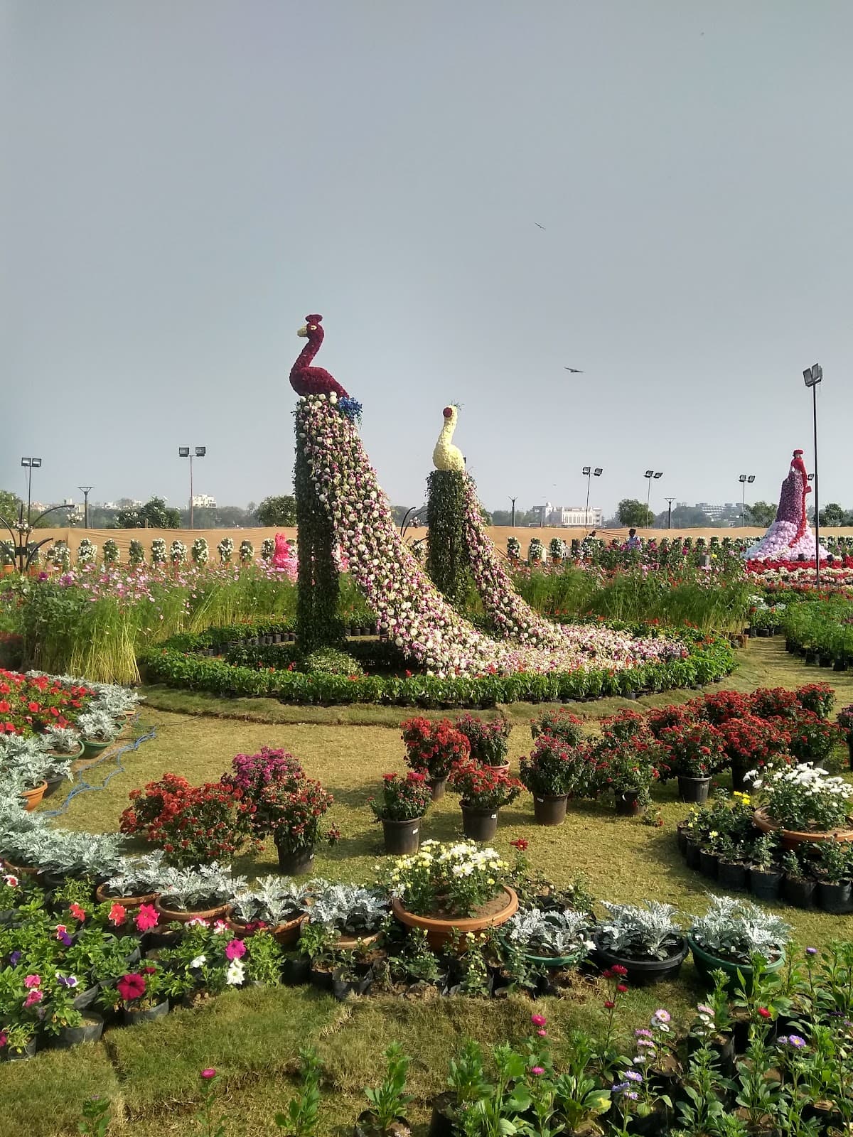 Sabarmati Riverfront Event Centre 1