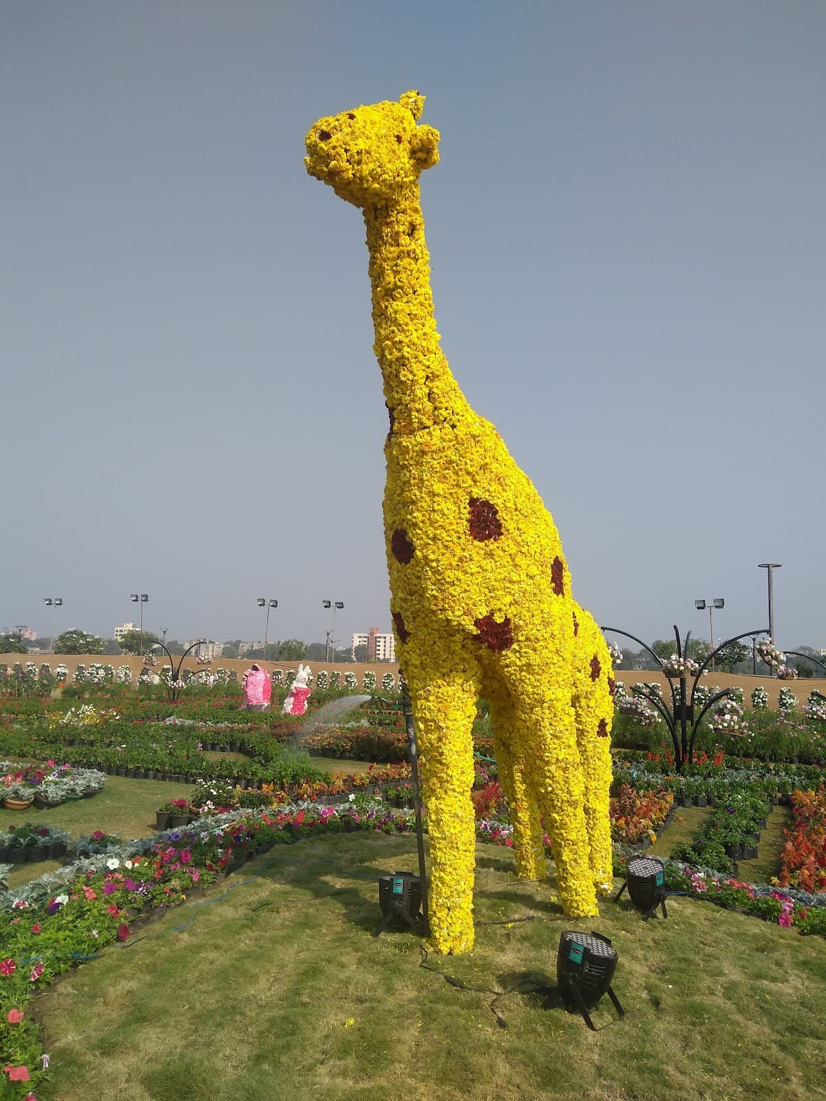 Sabarmati Riverfront Event Centre thumbnail 3