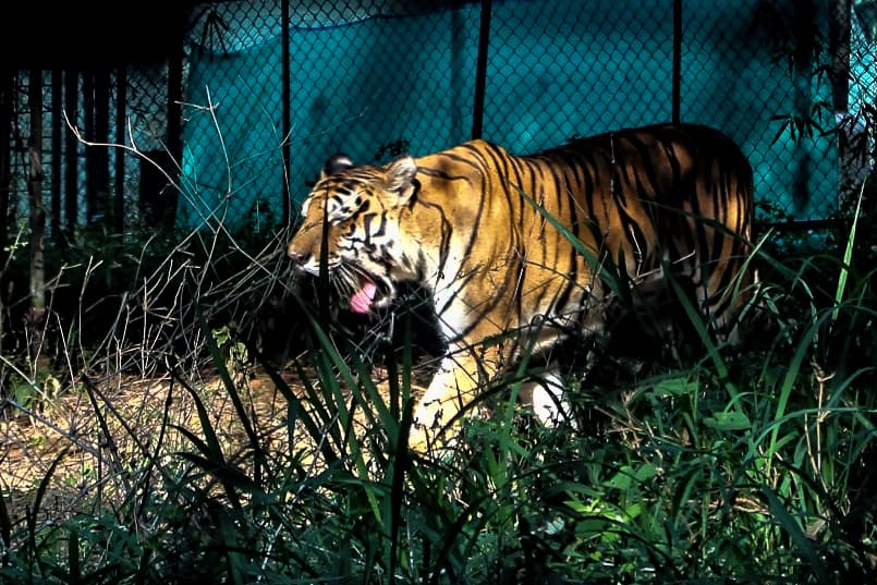 Bannerughatta Biological Park thumbnail 2