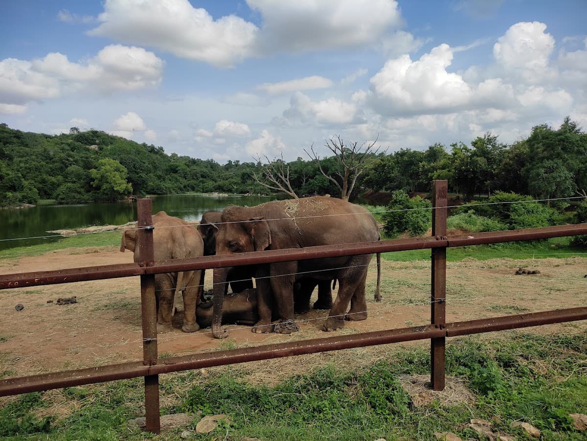 Bannerughatta Biological Park thumbnail 3