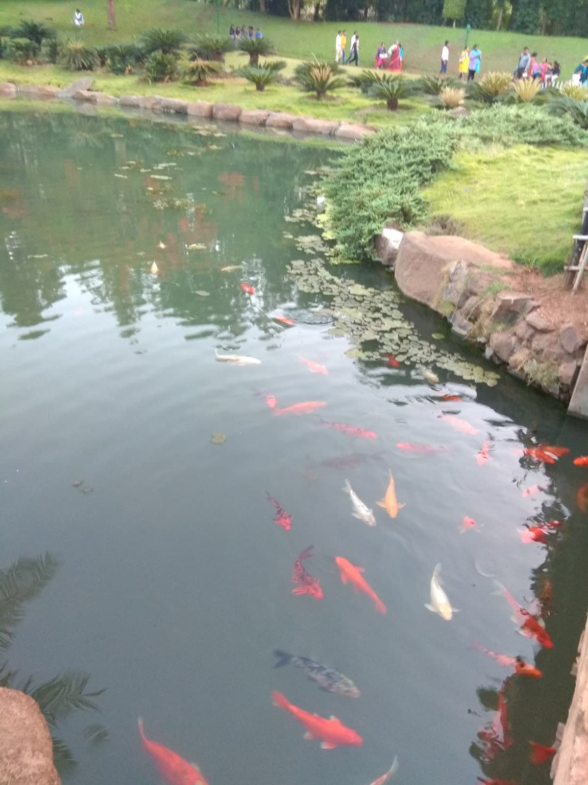 P L Deshpande Garden thumbnail 3