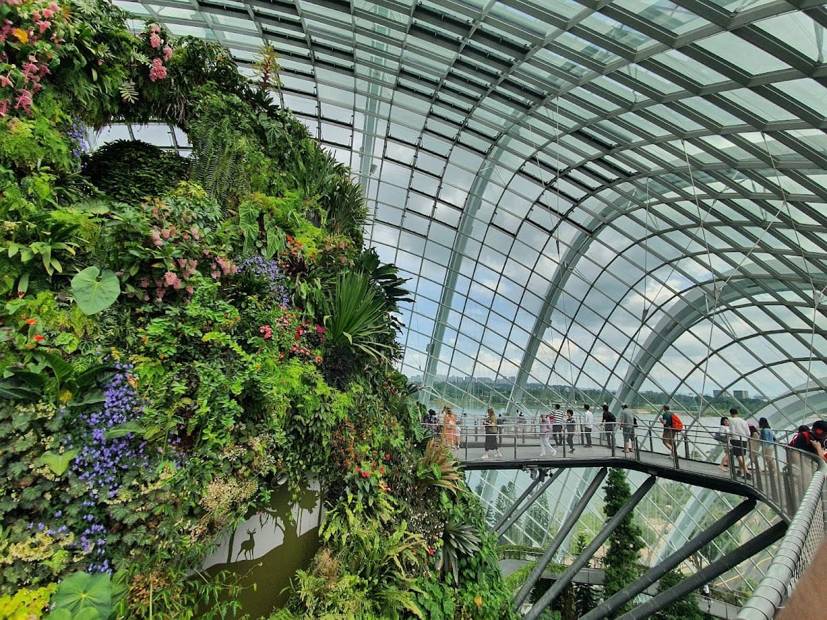 Gardens by the Bay thumbnail 3