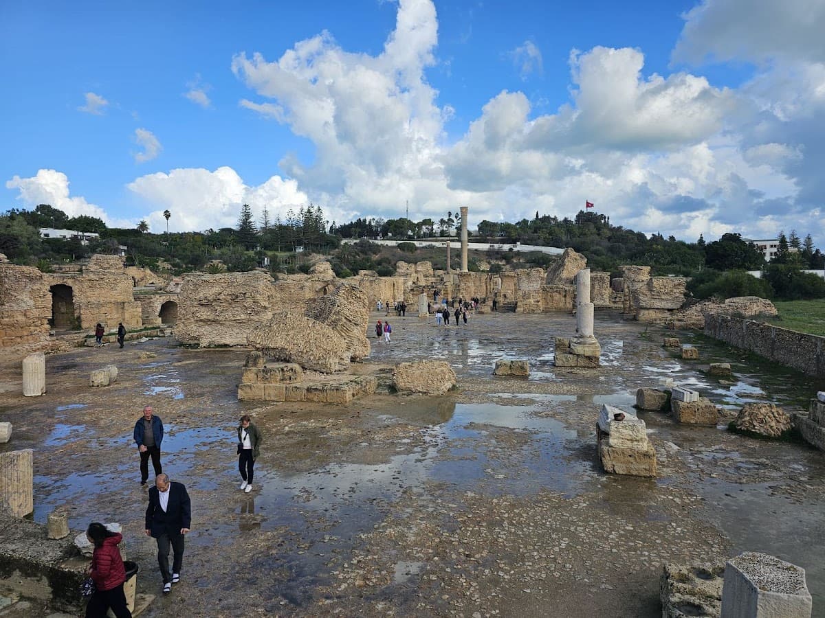 Kings Service Tours