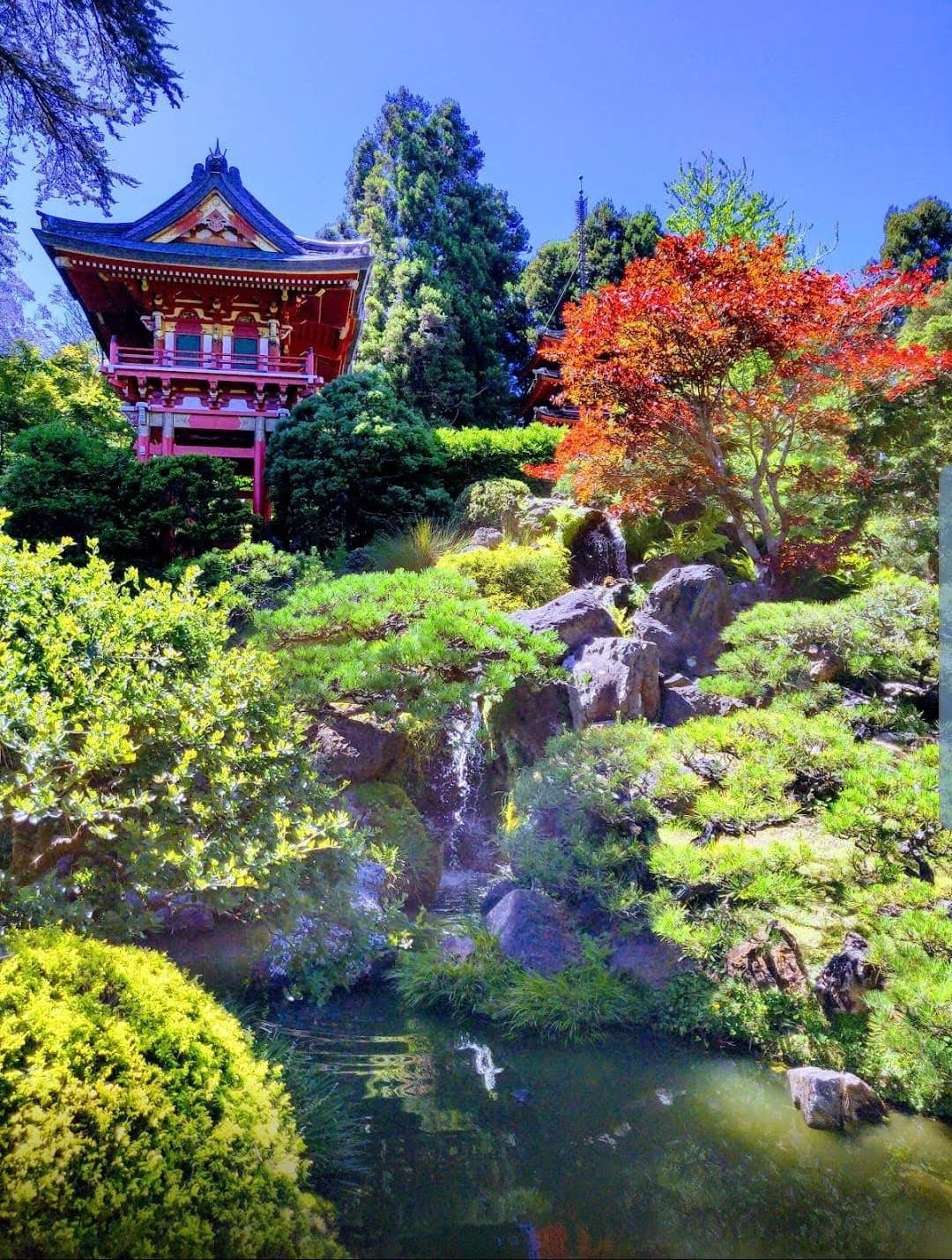 Golden Gate Park thumbnail 3