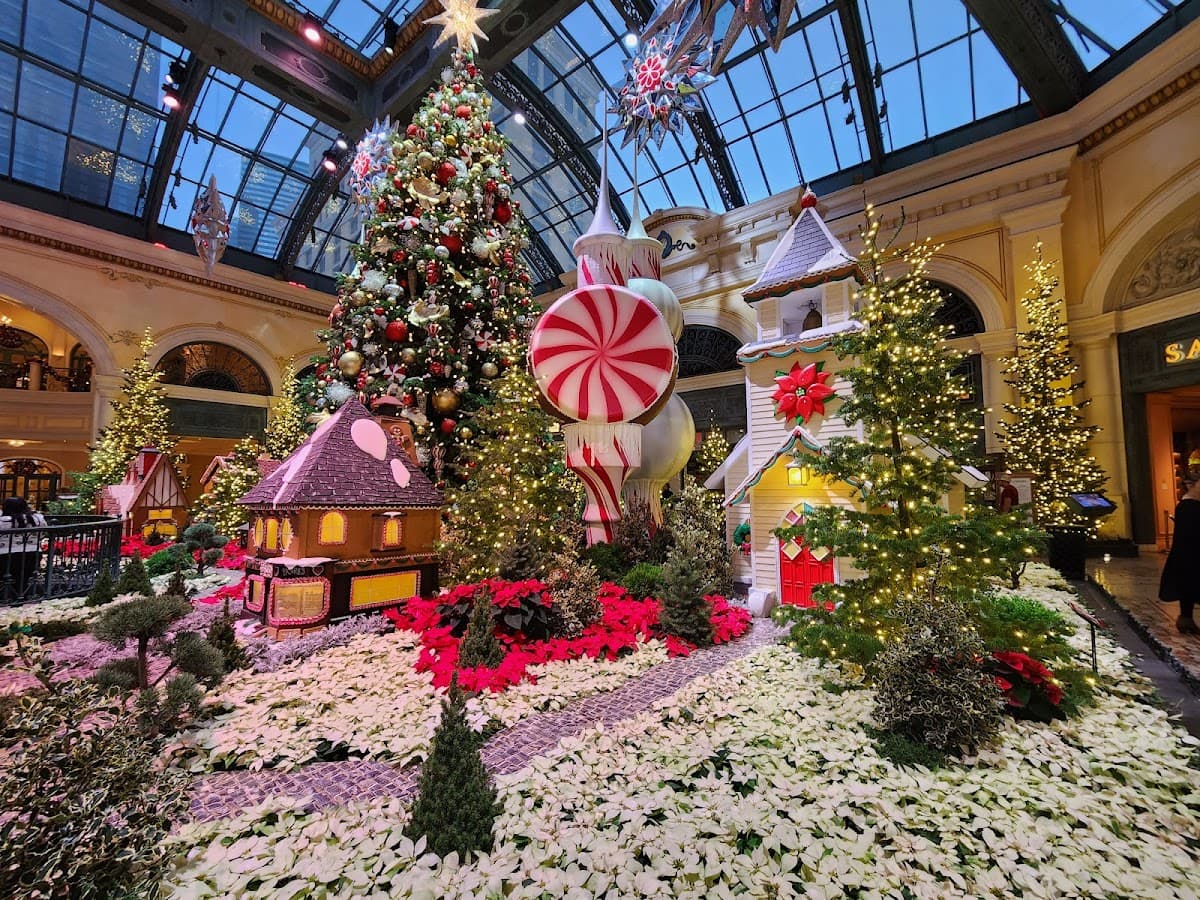 Bellagio Conservatory & Botanical Gardens thumbnail 2