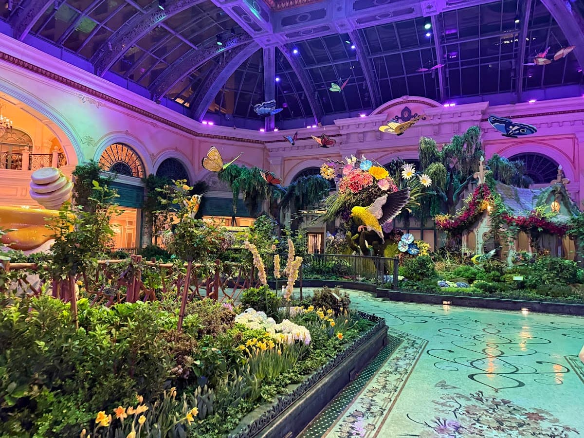 Bellagio Conservatory & Botanical Gardens thumbnail 3