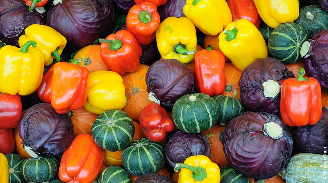 Viktualienmarkt thumbnail 2