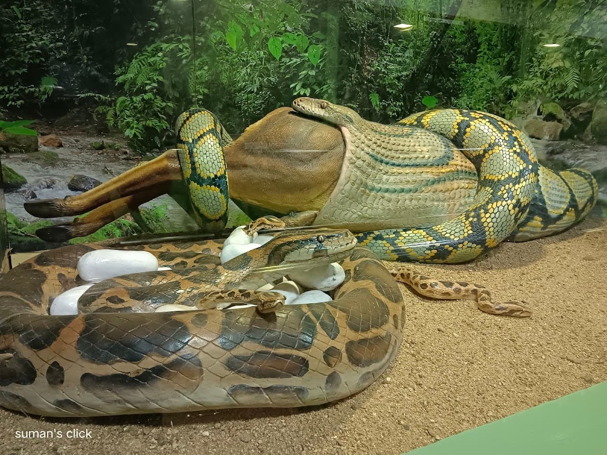 Guindy National Park 1