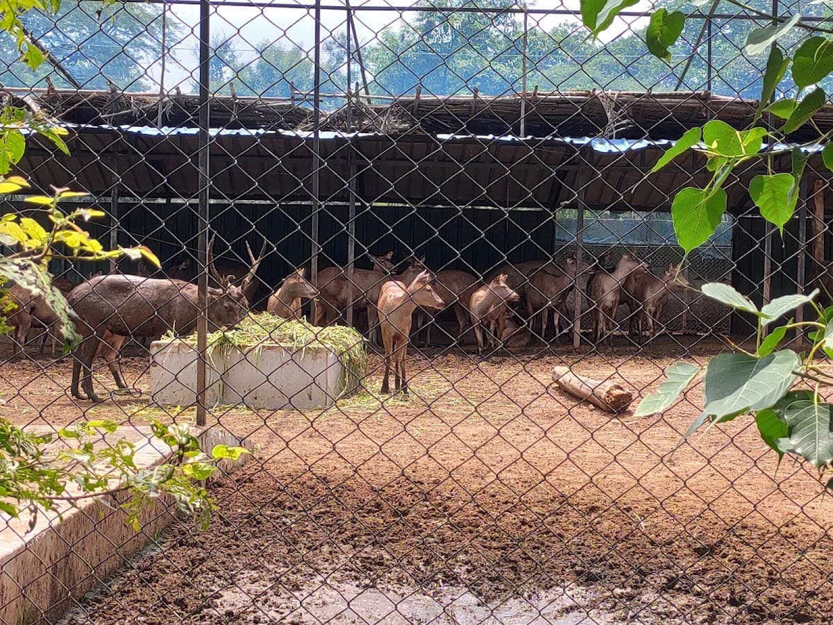 Guindy National Park thumbnail 2