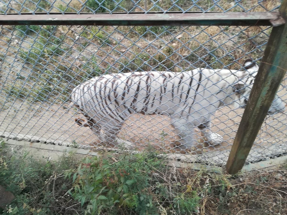 Sajjan Garh Biological Park thumbnail 3