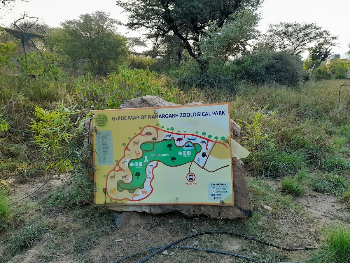 Nahargarh Biological Park 1