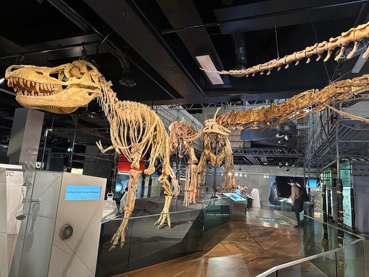 Melbourne Museum thumbnail 2