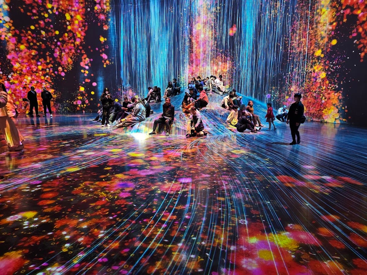 teamLab Borderless: MORI Building DIGITAL ART MUSEUM thumbnail 2