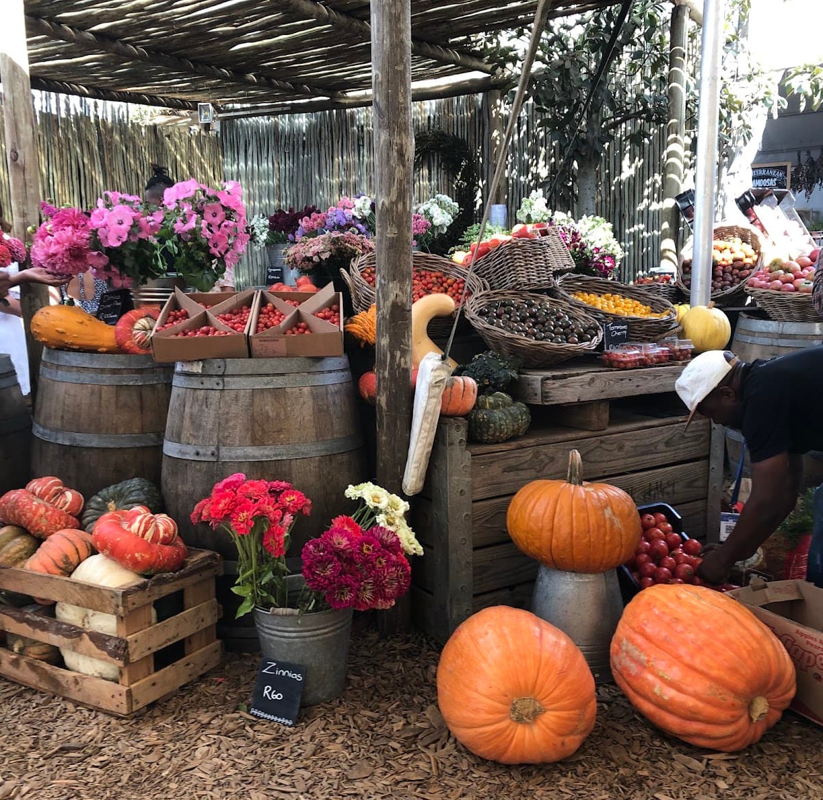 Oranjezicht City Farm Market thumbnail 2