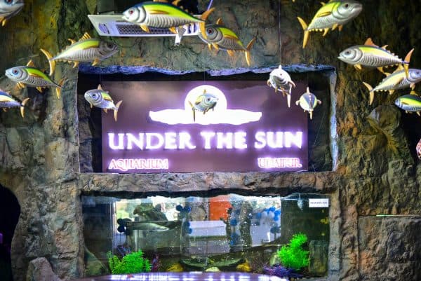 Under The Sun Aquarium, Udaipur thumbnail 2