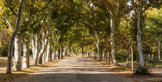 Madrid Family Discovery Route