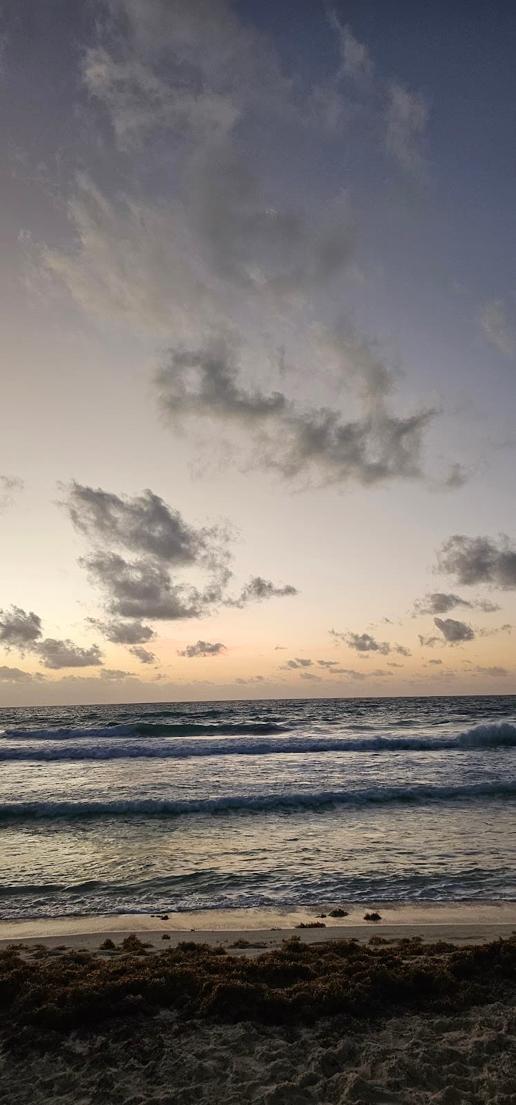 Dolphins Beach thumbnail 3