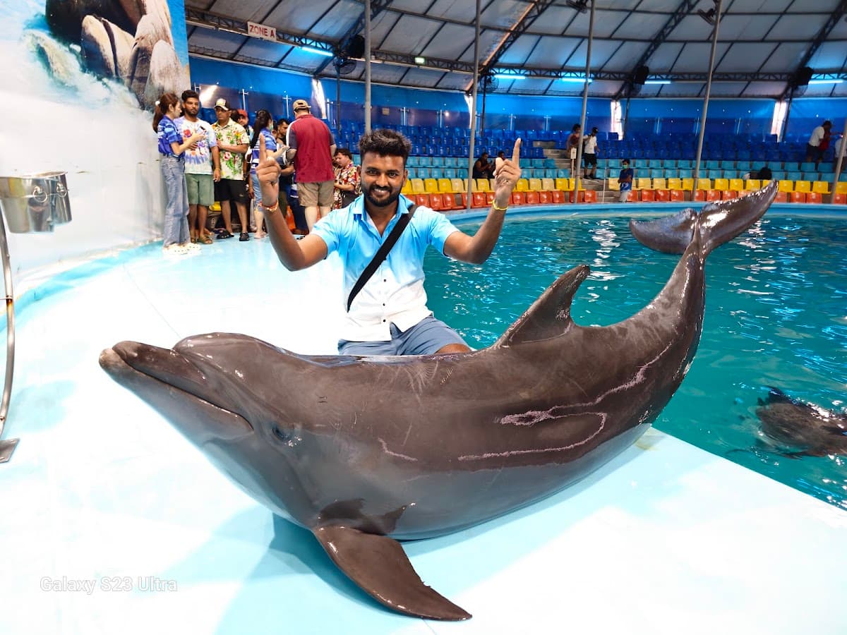 Dolphins Bay Phuket thumbnail 2