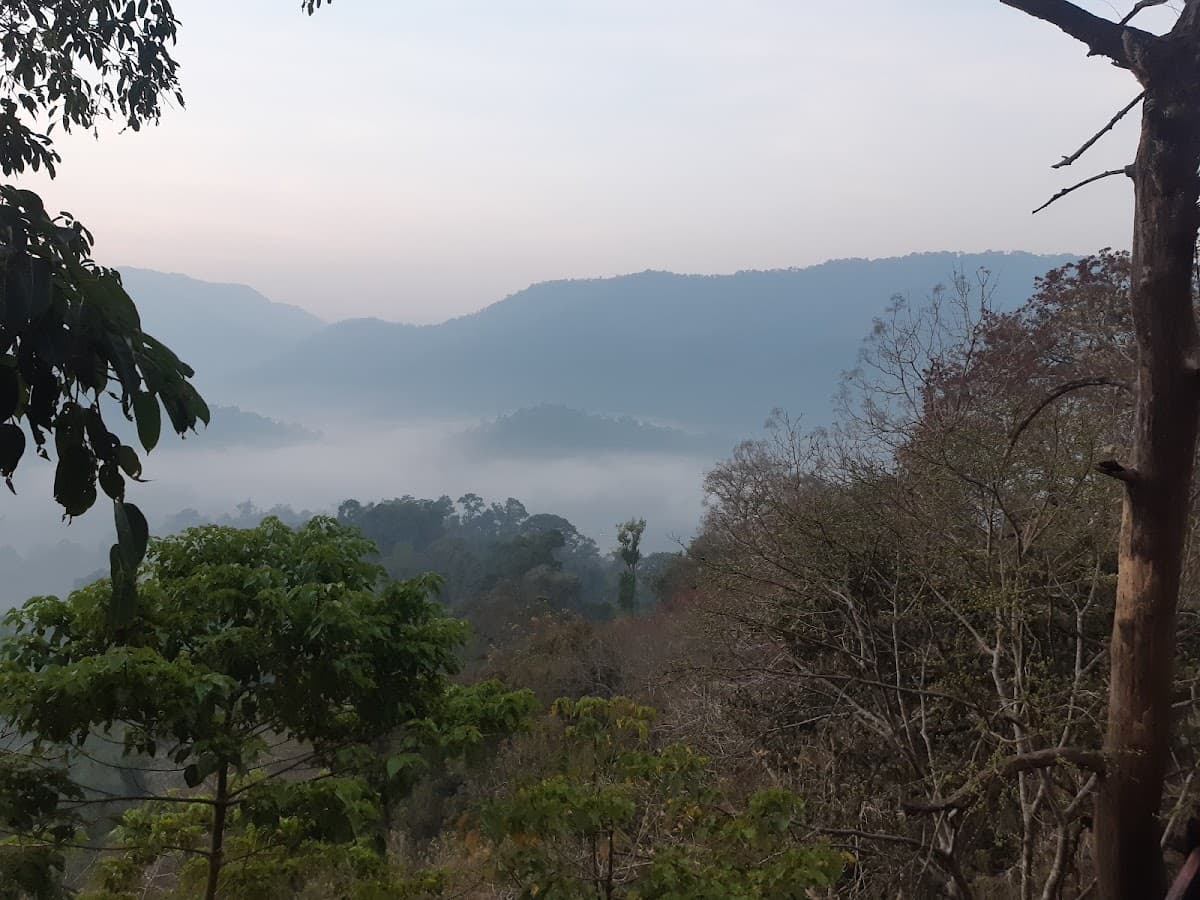 Periyar National Park thumbnail 3