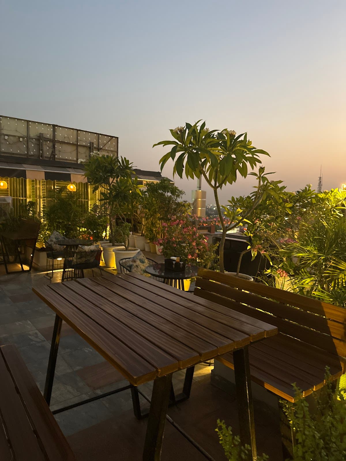 Brewlicious Rooftop Bar Restaurant in Jaipur 1