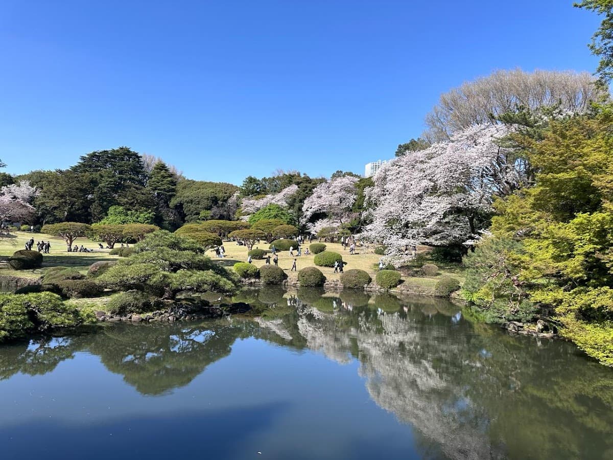 Shinjuku Gyoen National Garden thumbnail 2