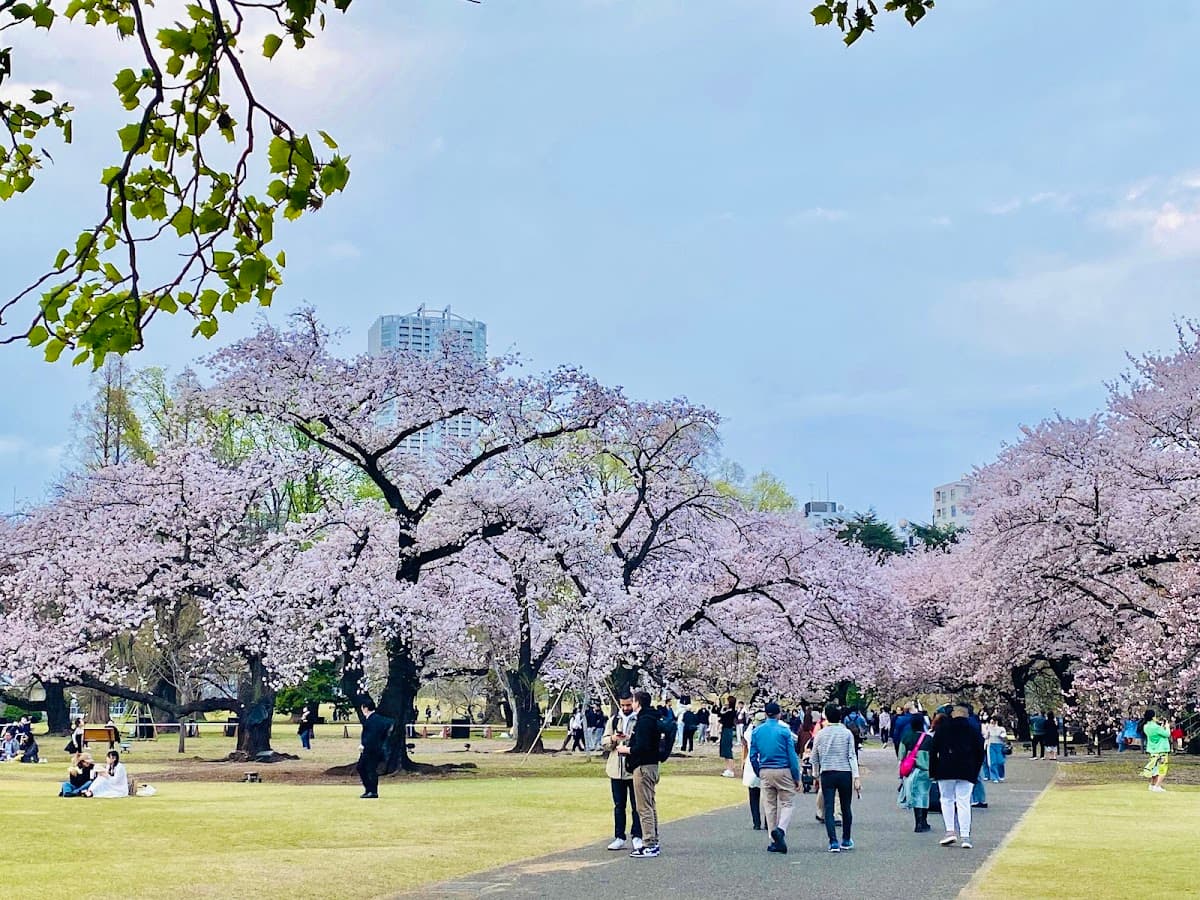 Shinjuku Gyoen National Garden thumbnail 3