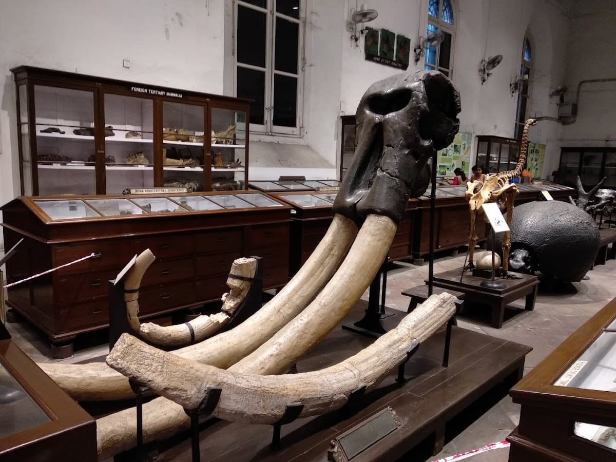Indian Museum thumbnail 2