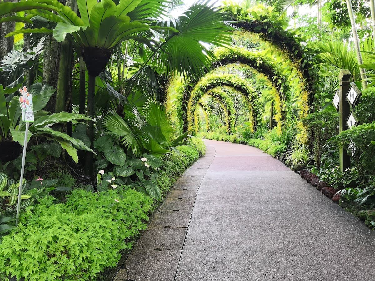 Singapore Botanic Gardens thumbnail 2