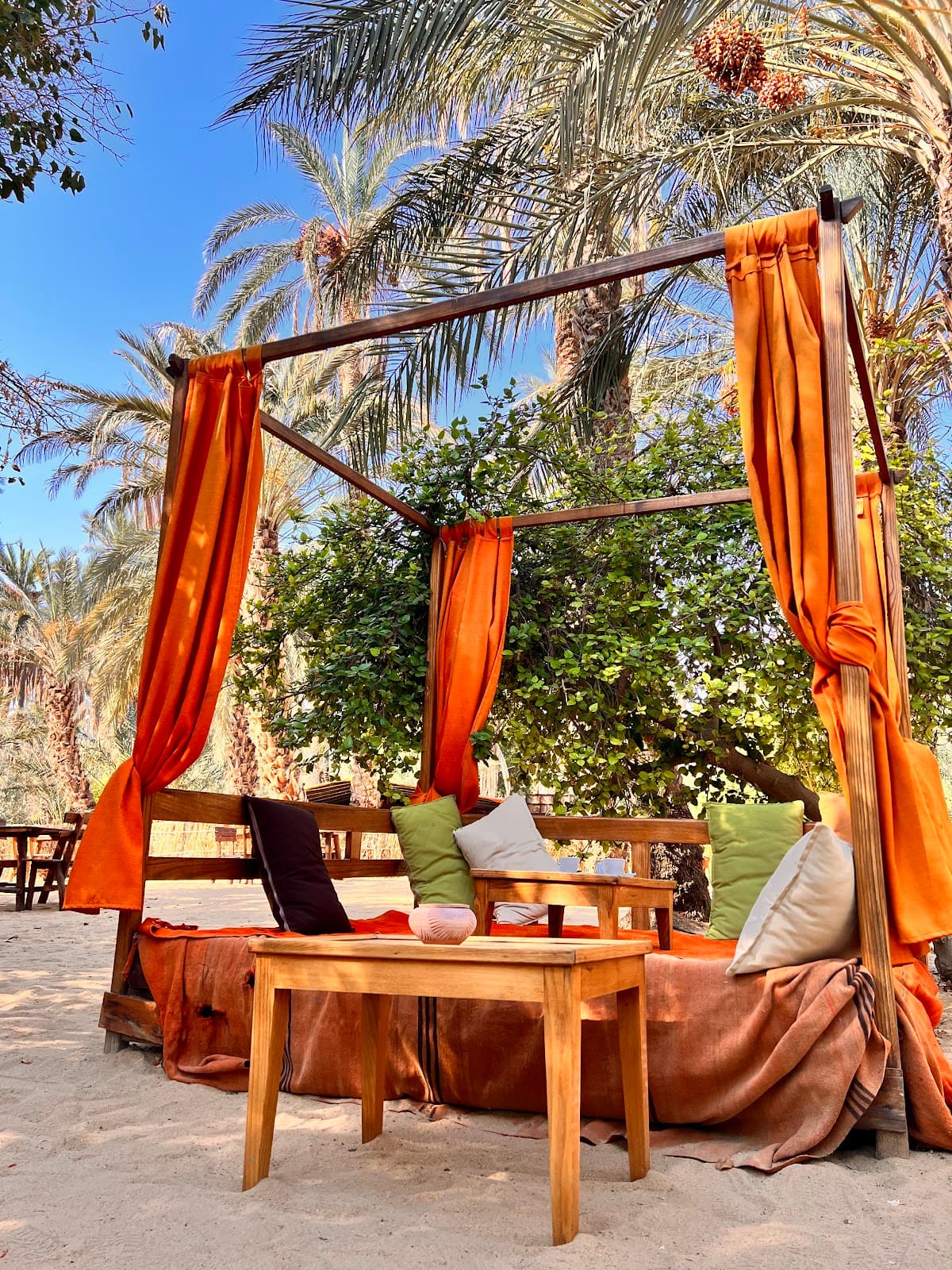 Sahara Lounge thumbnail 3