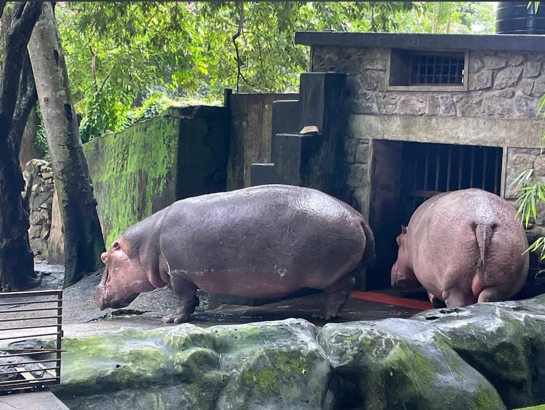 Thiruvananthapuram Zoo thumbnail 3