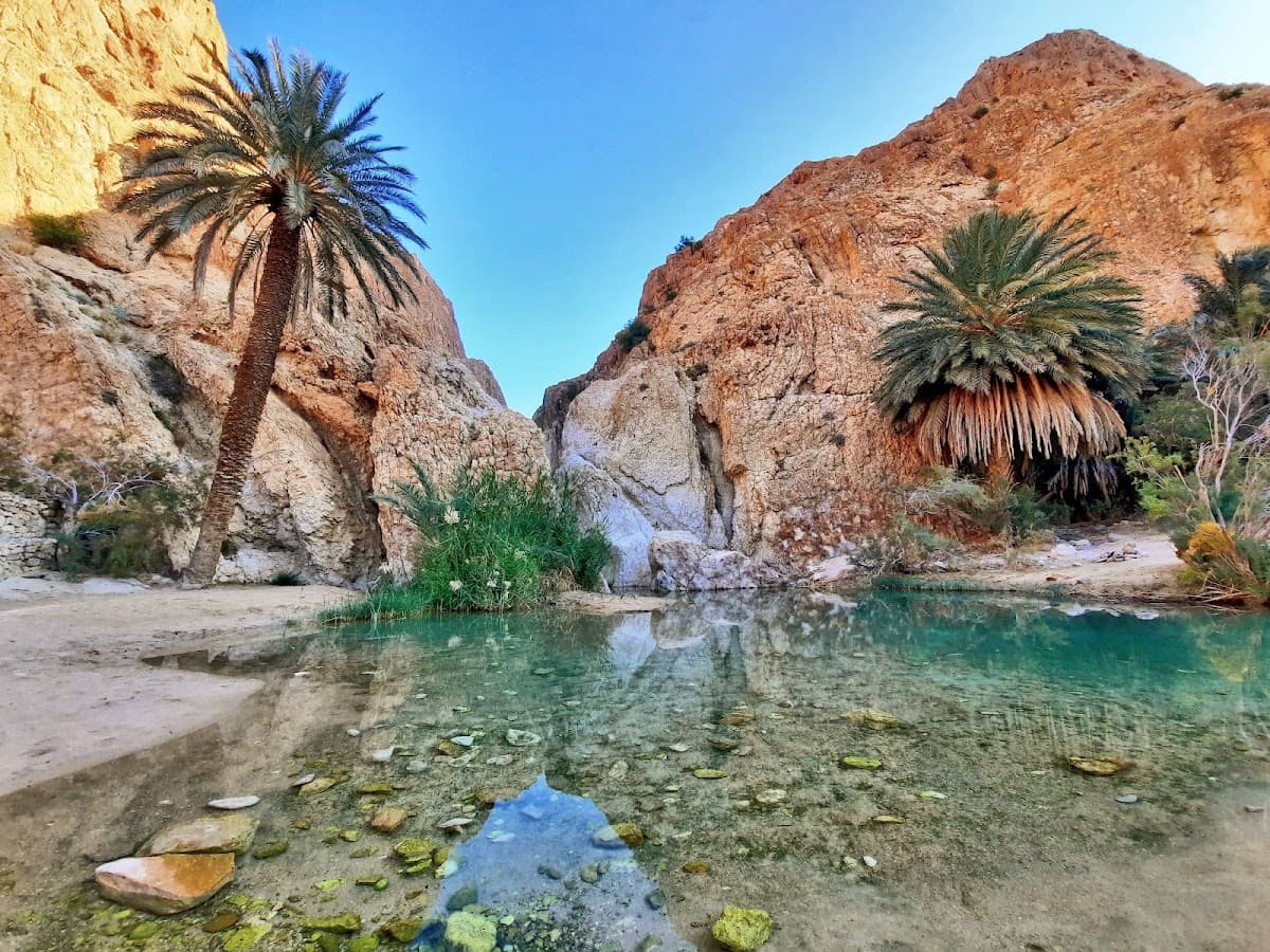 Chebika Oasis 1