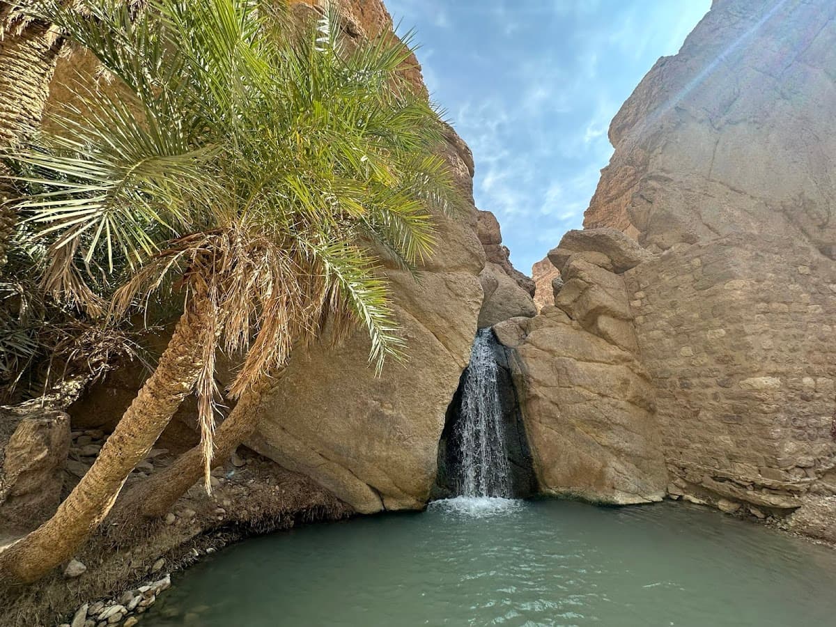 Chebika Oasis thumbnail 3