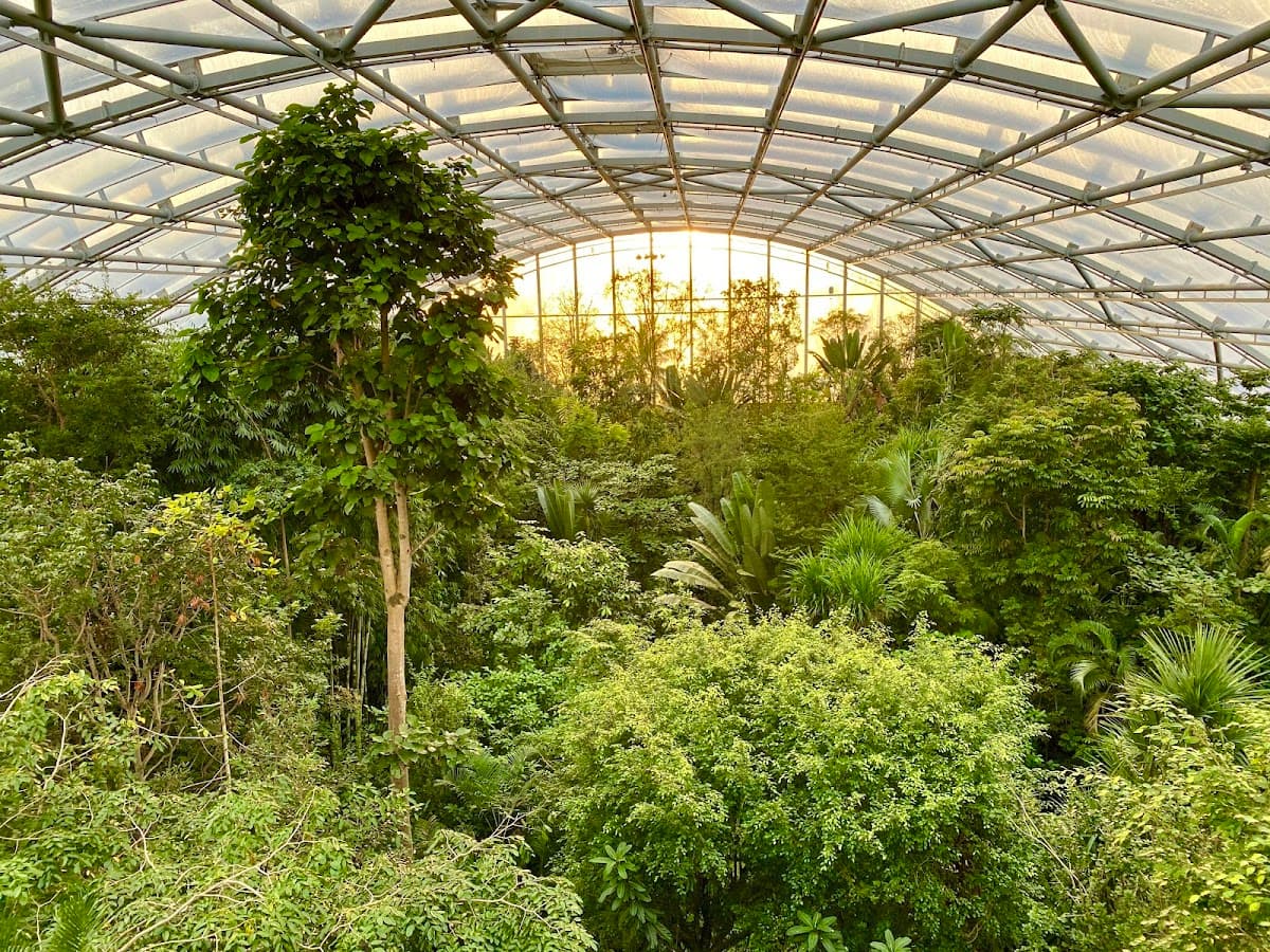 Zoo Zürich thumbnail 2