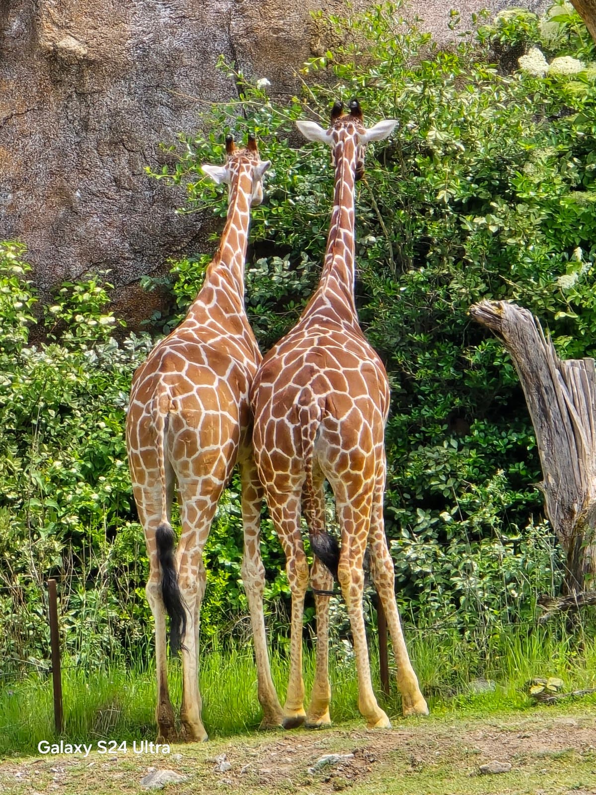 Zoo Zürich thumbnail 3
