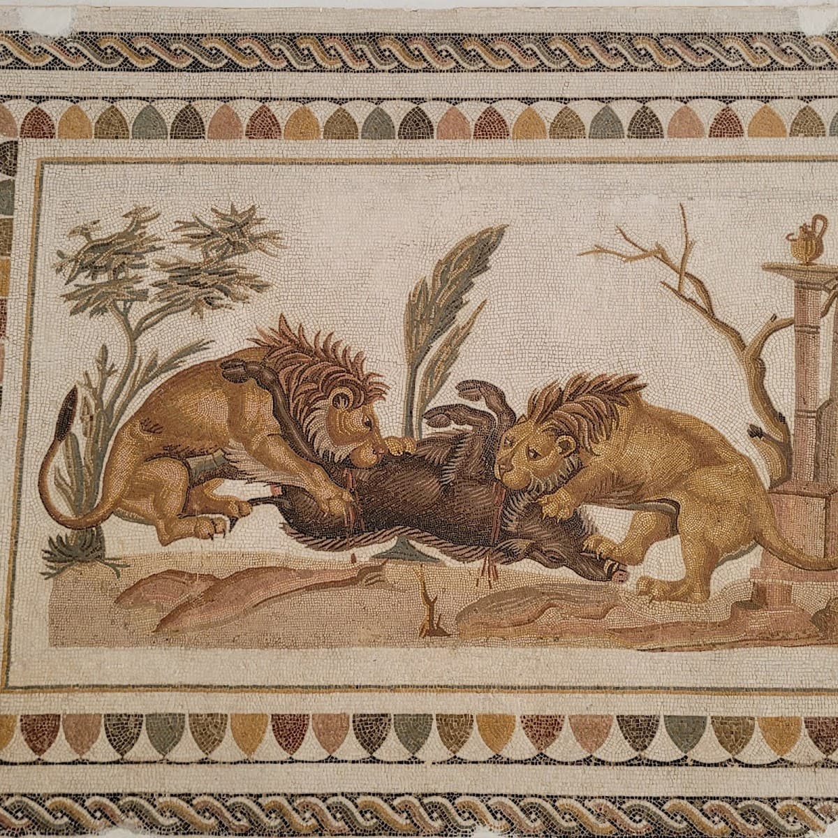 El Jem Archaeological Museum thumbnail 2