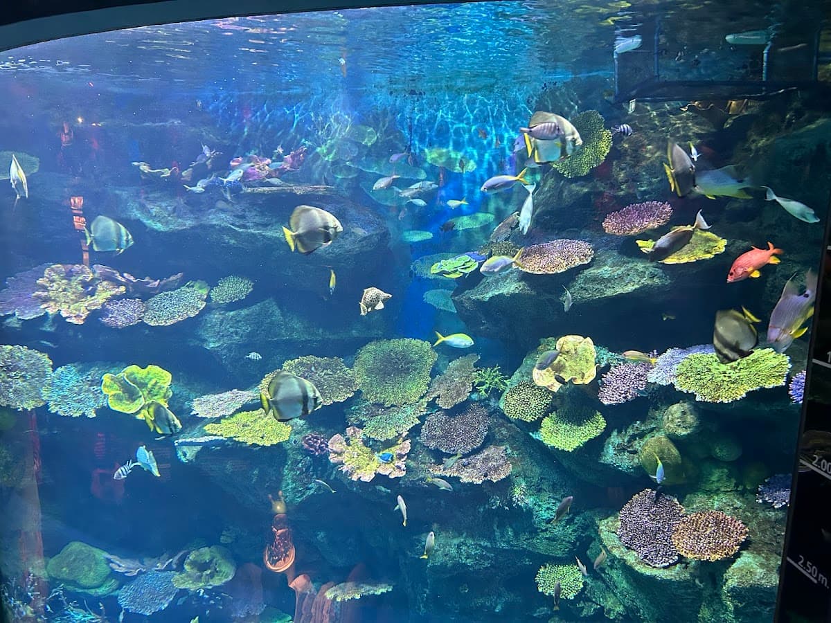 SEA LIFE Bangkok Ocean World thumbnail 2