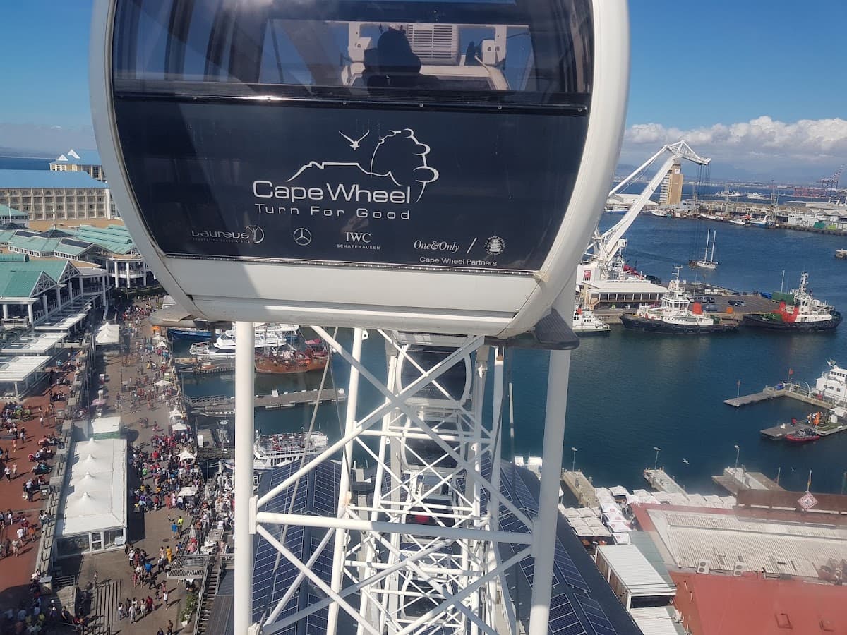 The Cape Wheel thumbnail 3