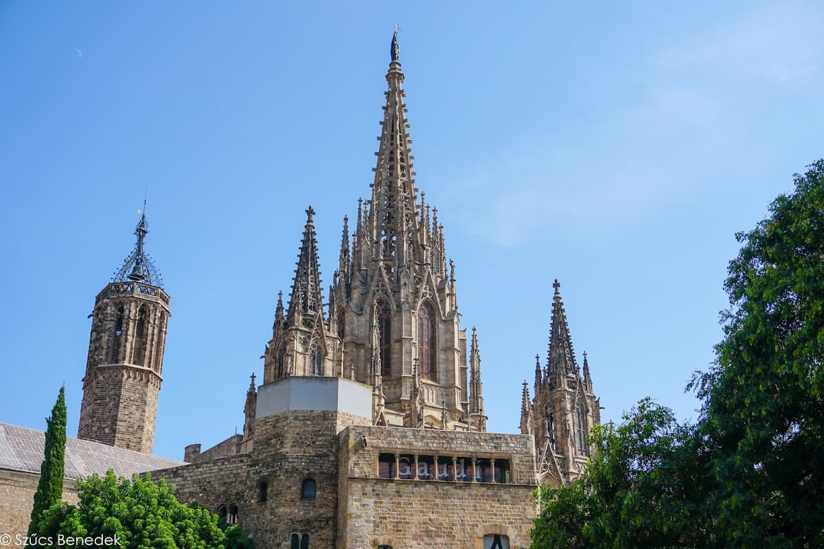 Cathedral of Barcelona thumbnail 2