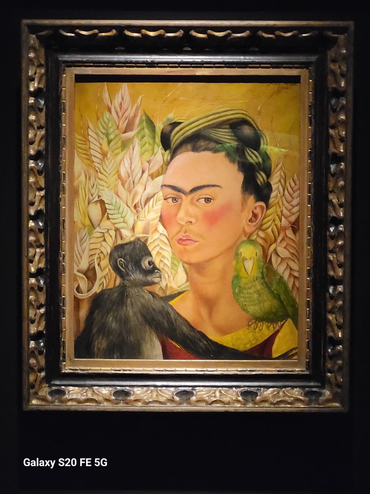 Museo de Arte Latinoamericano de Buenos Aires thumbnail 2