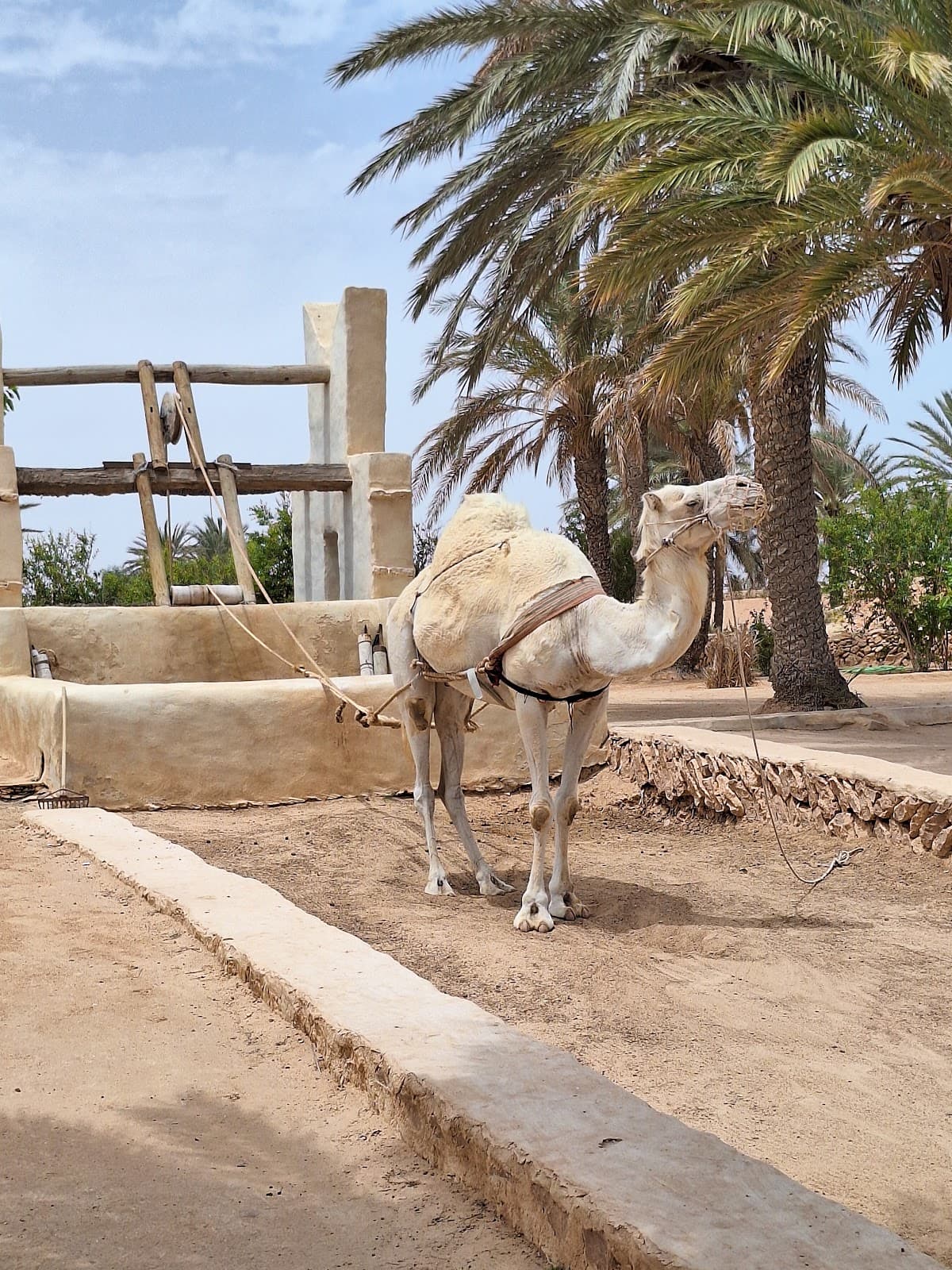 Djerba Explore Village thumbnail 3