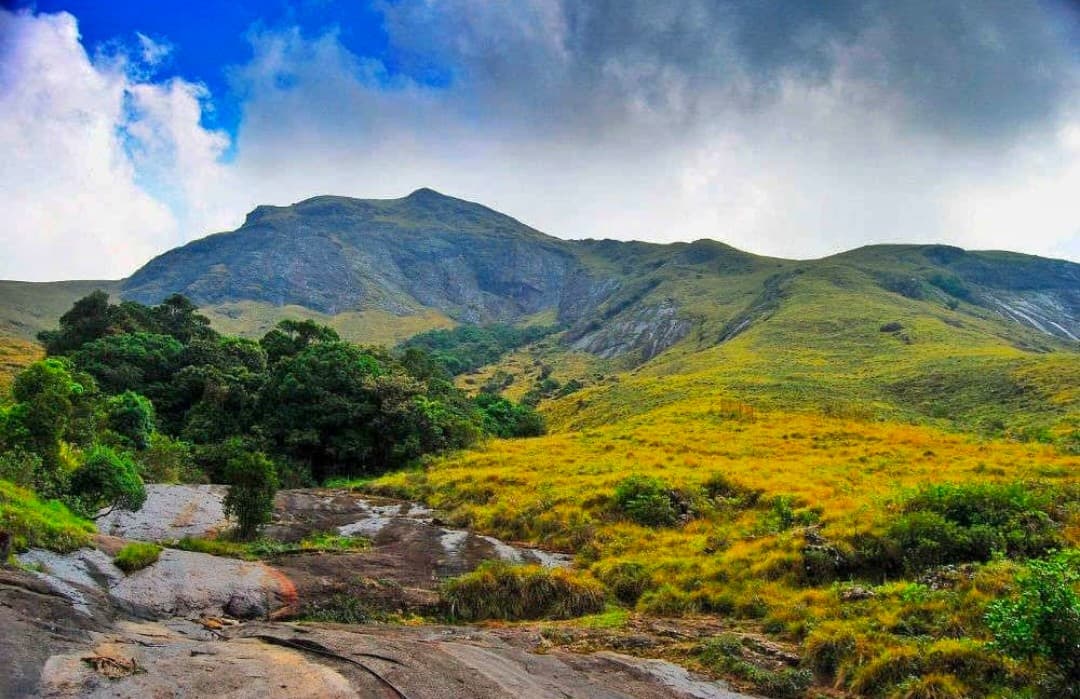 Eravikulam National Park 1