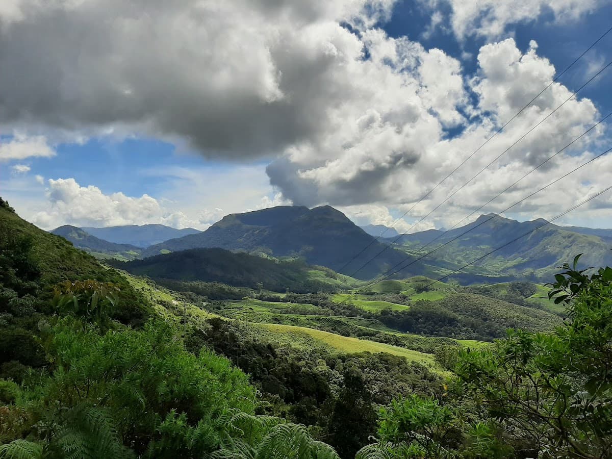 Eravikulam National Park thumbnail 2