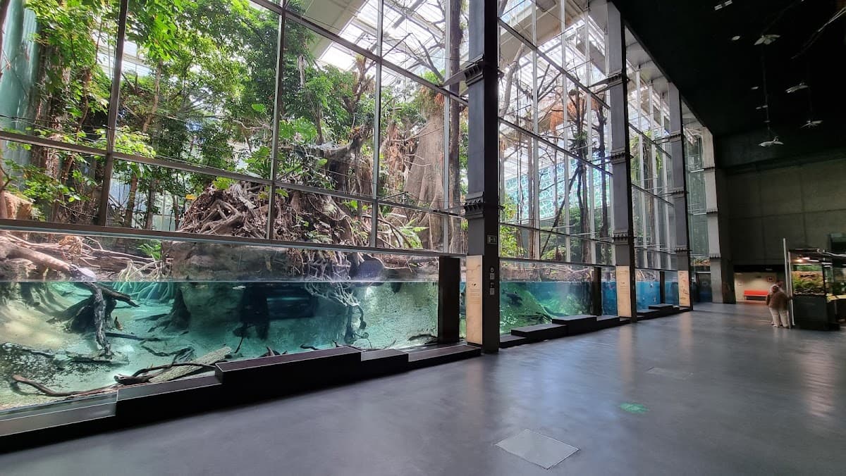 CosmoCaixa Museum of Science thumbnail 2